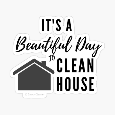 Beautiful Day to Clean House, Savvy Cleaner Funny Cleaner Gifts, Stickers