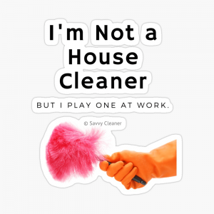I'm Not a House Cleaner, Savvy Cleaner, Funny Cleaning Gifts, Stickers