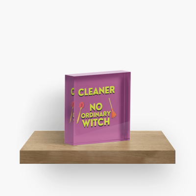 No Ordinary Witch, Savvy Cleaner Funny Cleaning Gifts, Cleaning Collectible Cube