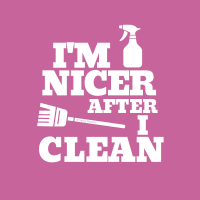 373 Nicer After I Clean Savvy Cleaner Funny Cleaning Shirts B