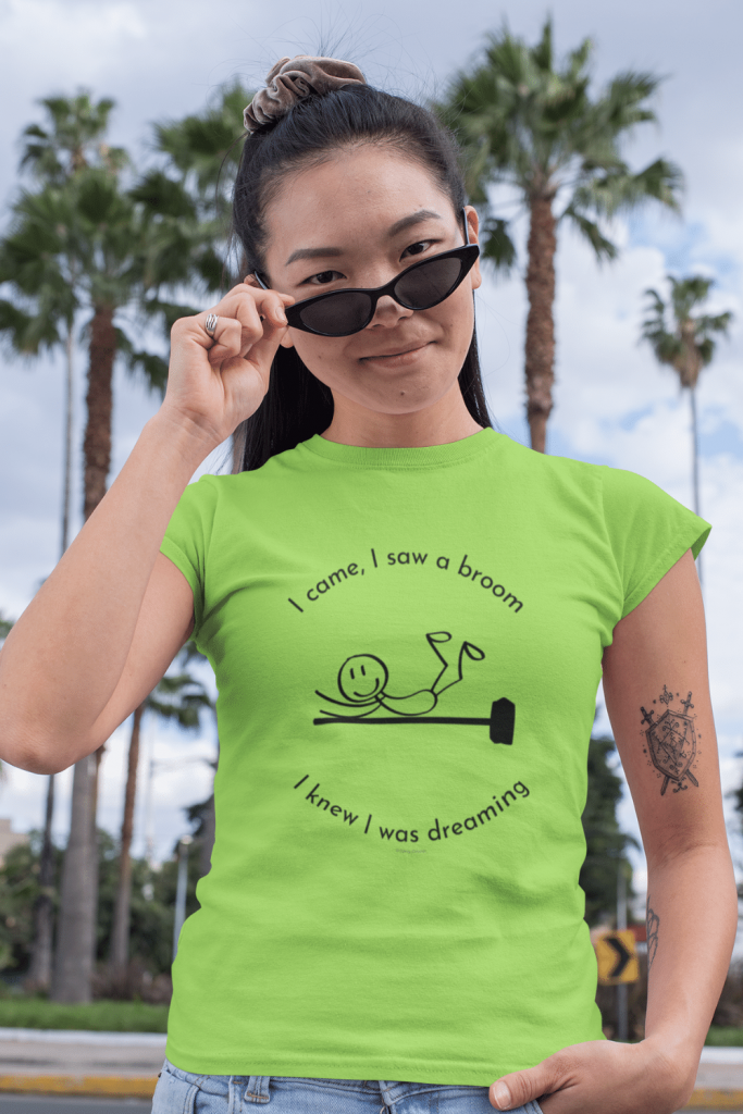 I Came I Saw A Broom I Knew I Was Dreaming Savvy Cleaner Funny Cleaning Shirts Classic Tee