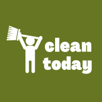 689 Clean Today Savvy Cleaner Funny Cleaning Shirts (1)