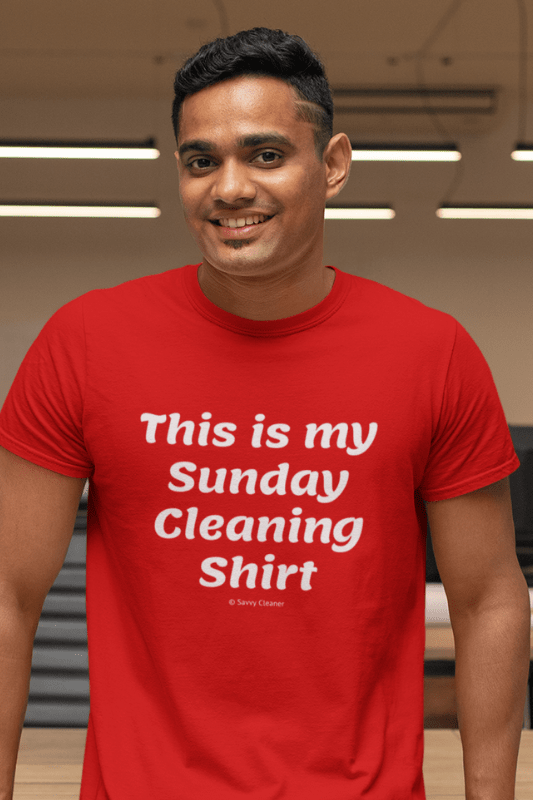 My Sunday Cleaning Shirt, Savvy Cleaner Funny Cleaning Shirt, Premium T-Shirt